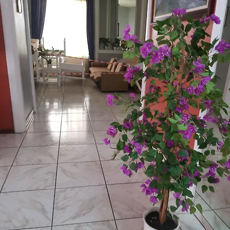 Unique View With Wifi Διαμέρισμα *